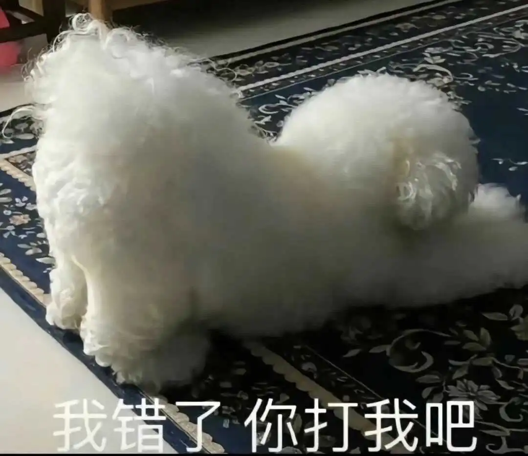【西檬之家】大圈与小圈的区别：BDSM新人入门权威指南