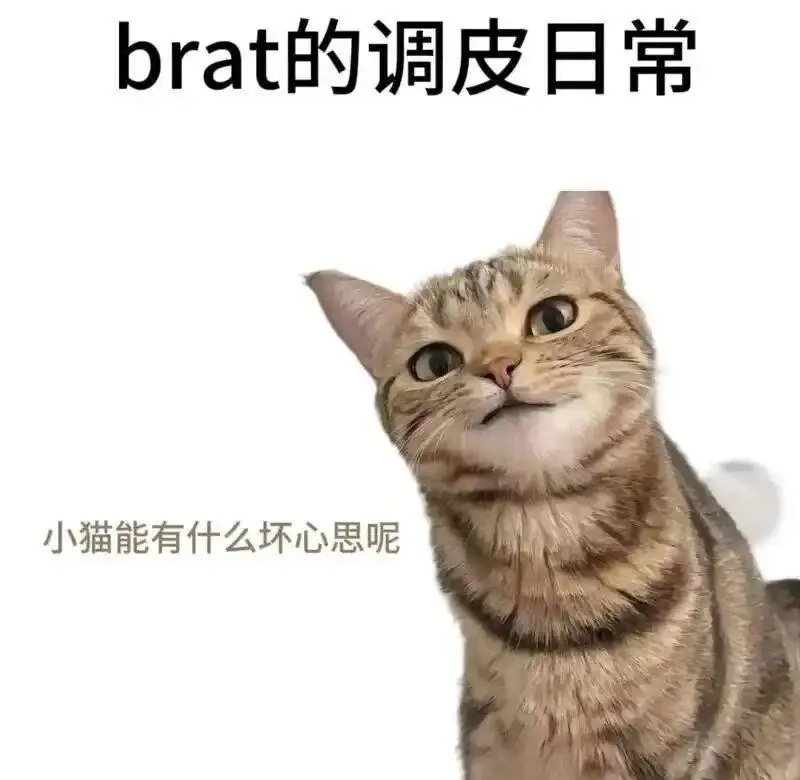 【西檬之家】Sub是什么？字母圈服从者的角色解析与实践指南
