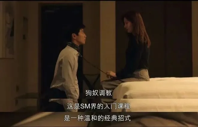 西檬之家-字母圈新人入圈指南：从零开始的BDSM探索