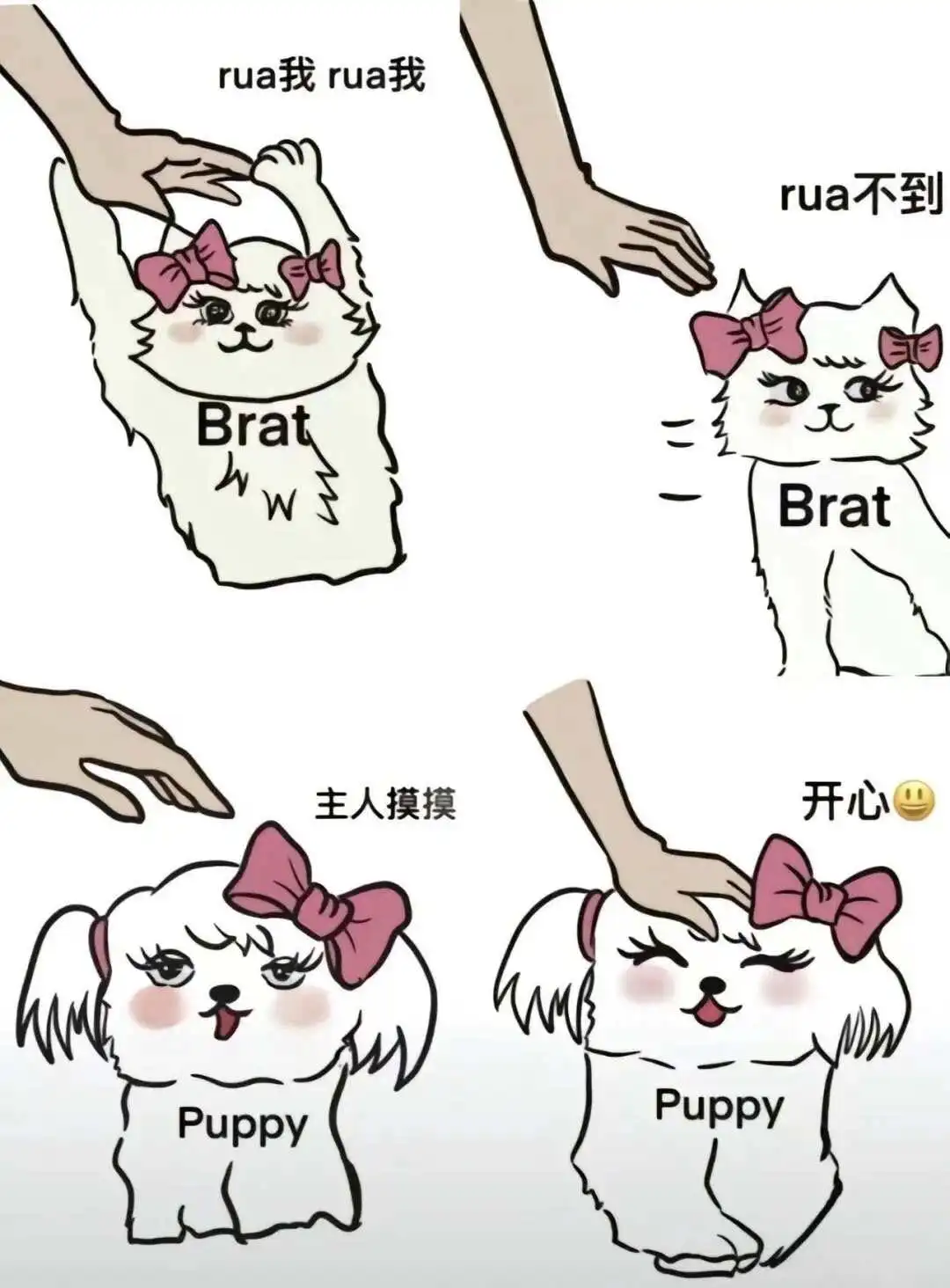 西檬之家-字母圈中的M是什么？新人权威指南