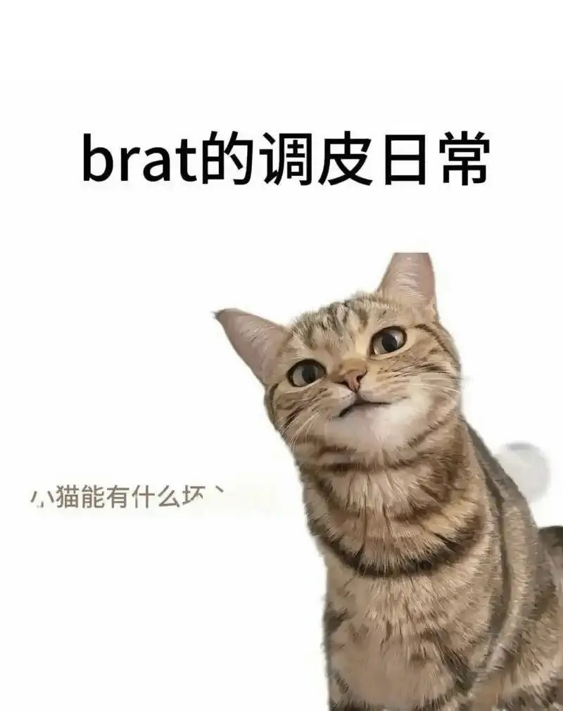 【西檬之家】字母圈的DOM是什么意思？