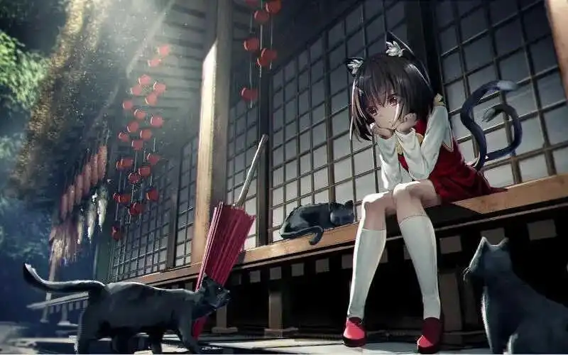 西檬之家-字母圈的DOM是什么意思？