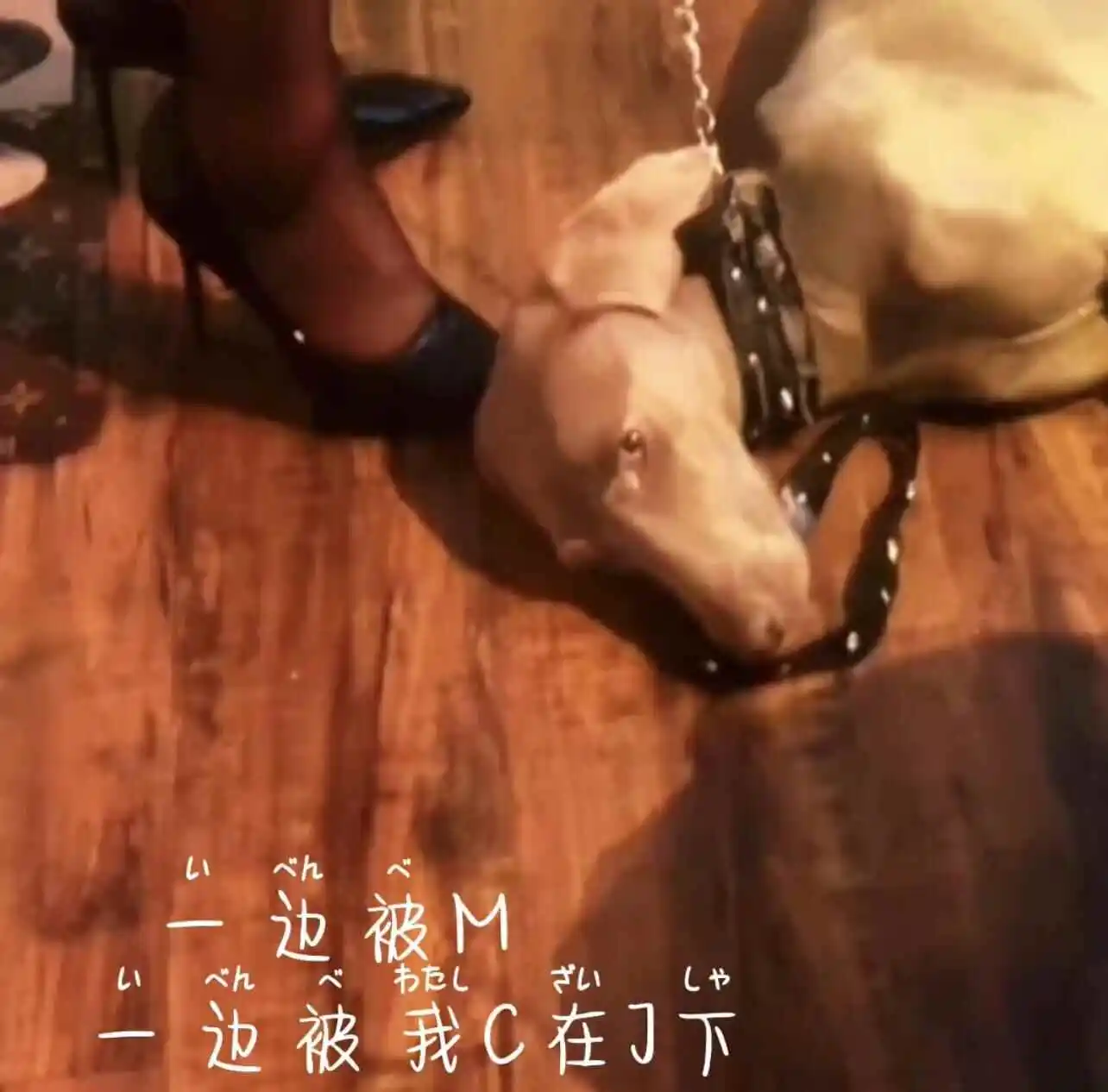 西檬之家-字母圈TK是什么？新人入门指南