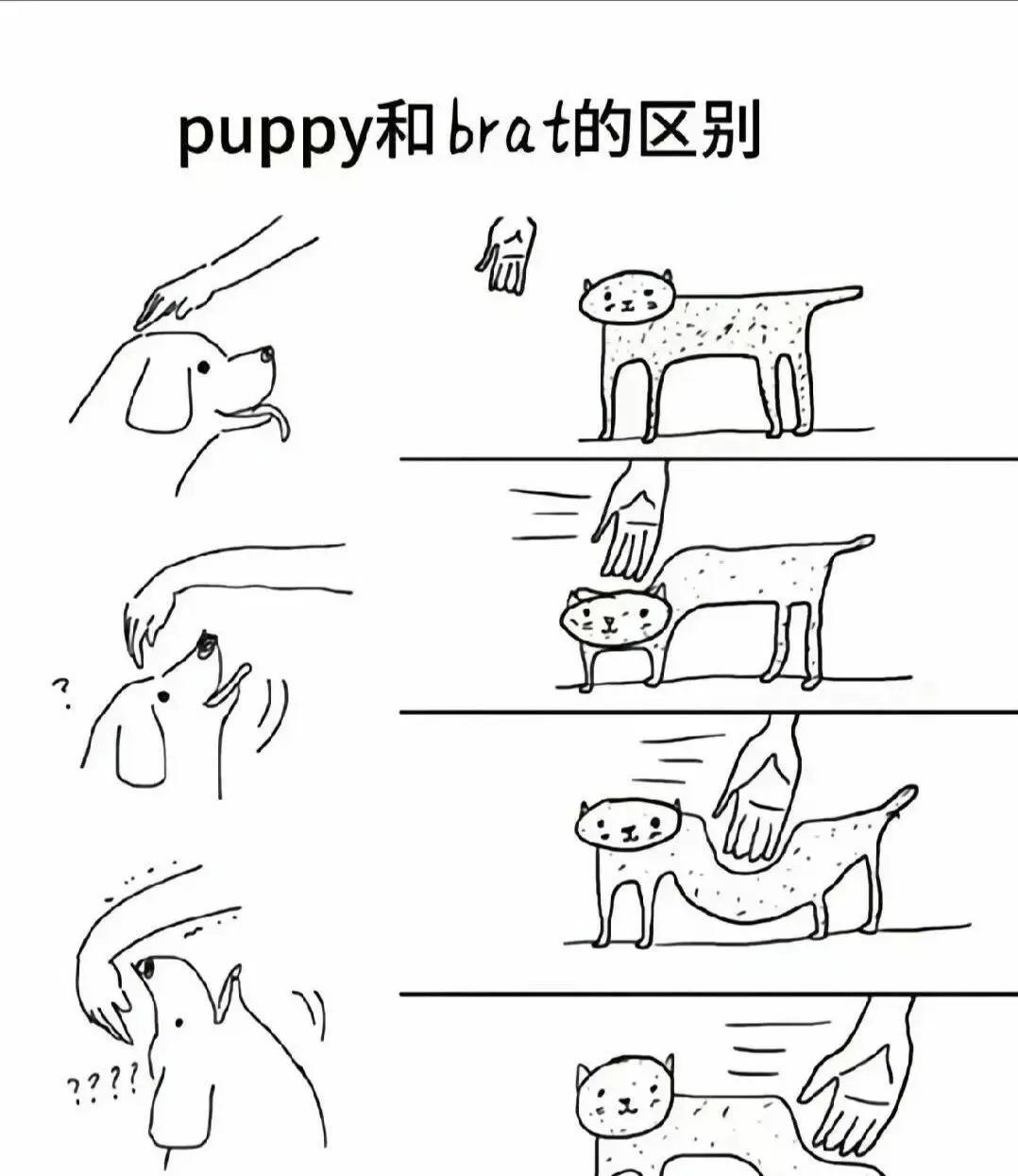 西檬之家-大圈是什么意思？字母圈新人权威科普指南