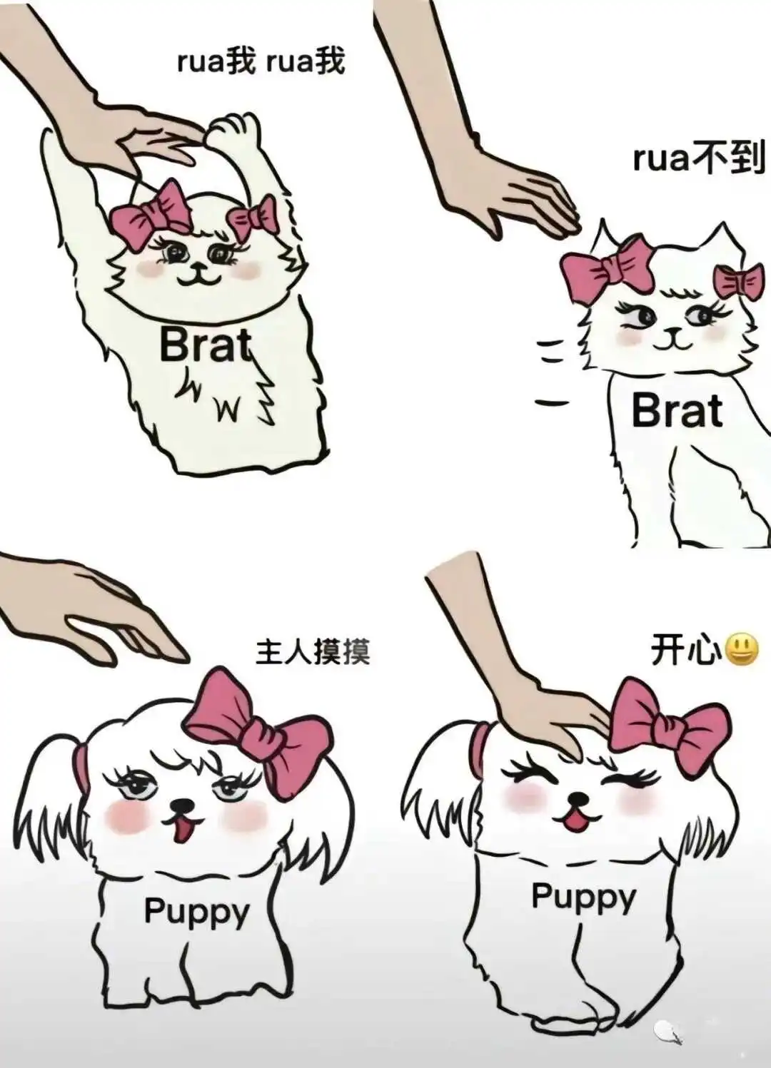 西檬之家-女王在字母圈的角色是什么？