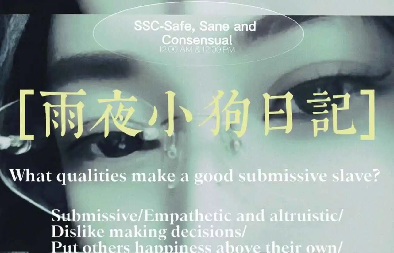 西檬之家-PE：字母圈权力交换的核心与新人指南