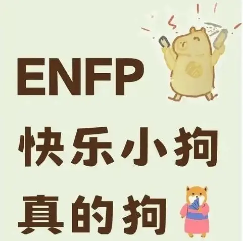【西檬之家】DT是什么？字母圈新人入圈需要了解的术语指南